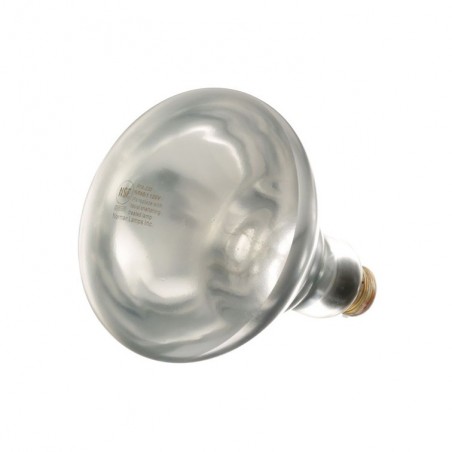 38-1135-refacciones-all-points-mexico