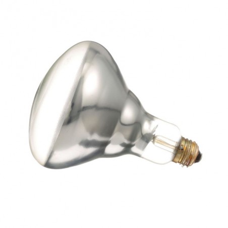 38-1135-refacciones-all-points-mexico