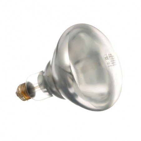 38-1135-refacciones-all-points-mexico