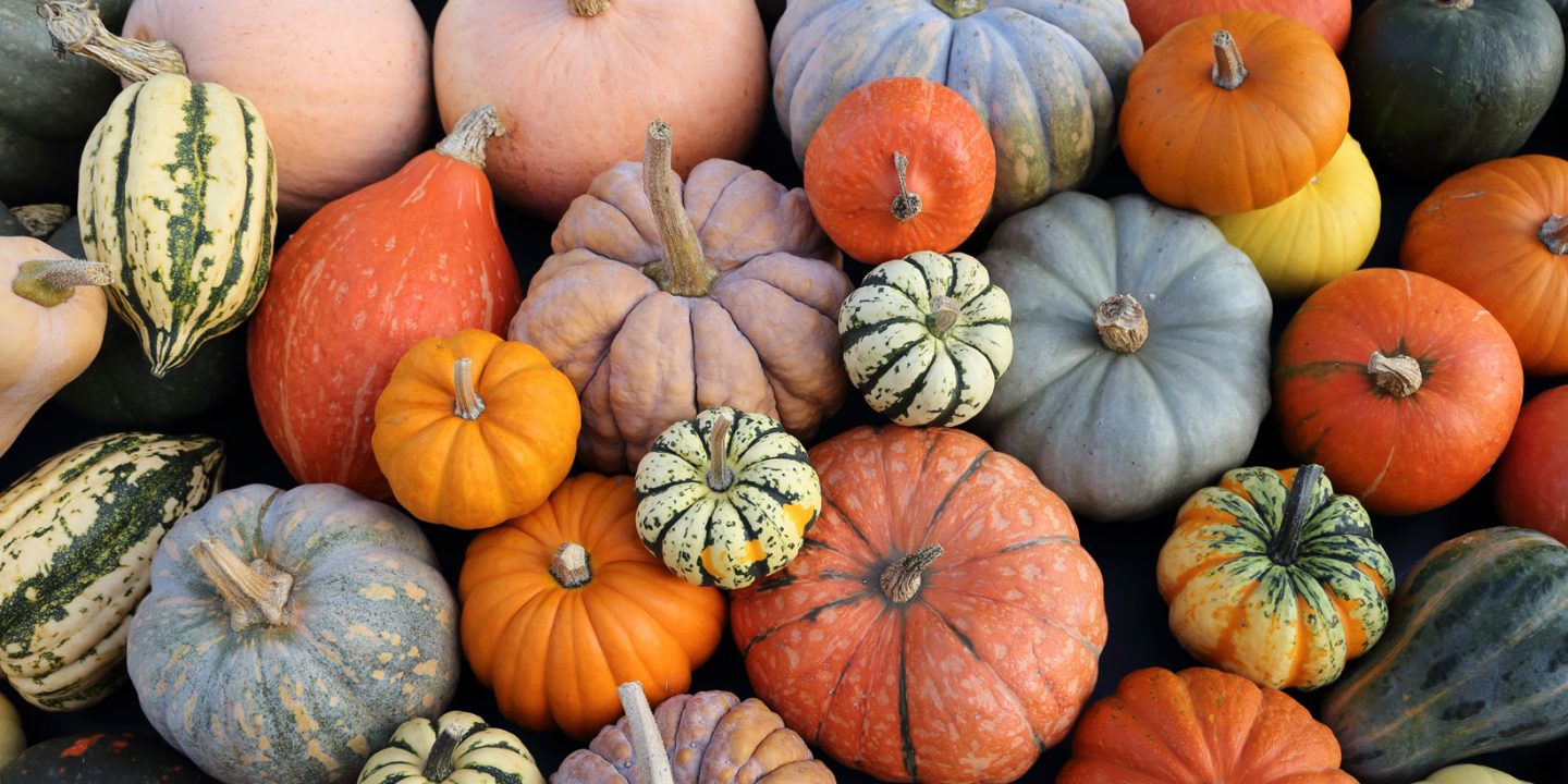Tipos de calabaza